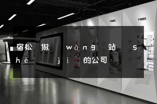 宿松縣做網(wǎng)站設(shè)計(jì)的公司