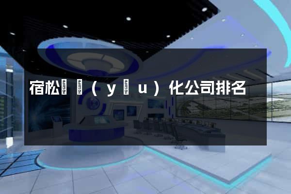 宿松縣優(yōu)化公司排名