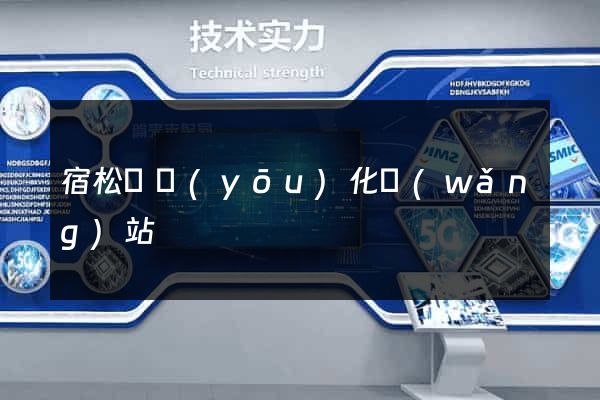 宿松縣優(yōu)化網(wǎng)站