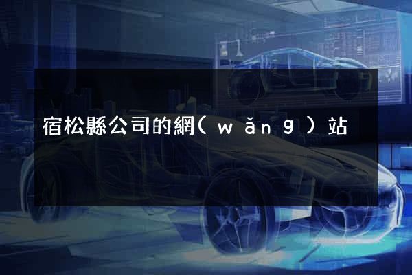 宿松縣公司的網(wǎng)站
