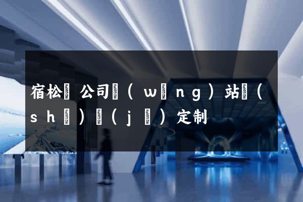 宿松縣公司網(wǎng)站設(shè)計(jì)定制