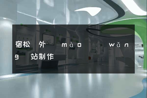 宿松縣外貿(mào)網(wǎng)站制作