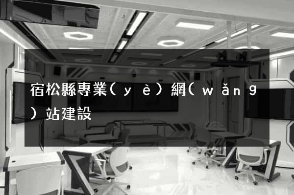宿松縣專業(yè)網(wǎng)站建設
