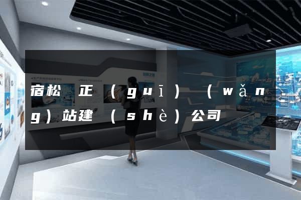 宿松縣正規(guī)網(wǎng)站建設(shè)公司