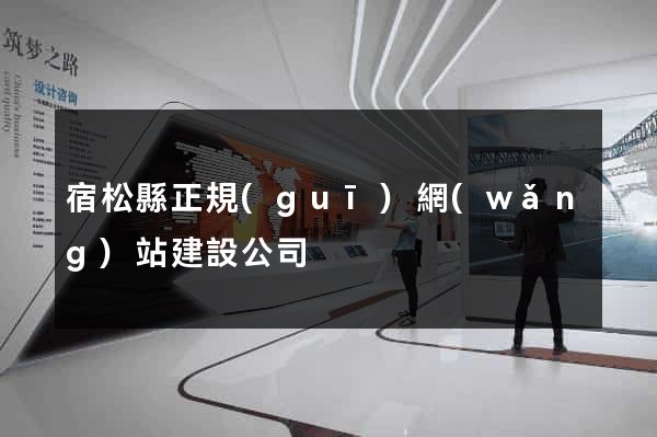 宿松縣正規(guī)網(wǎng)站建設公司