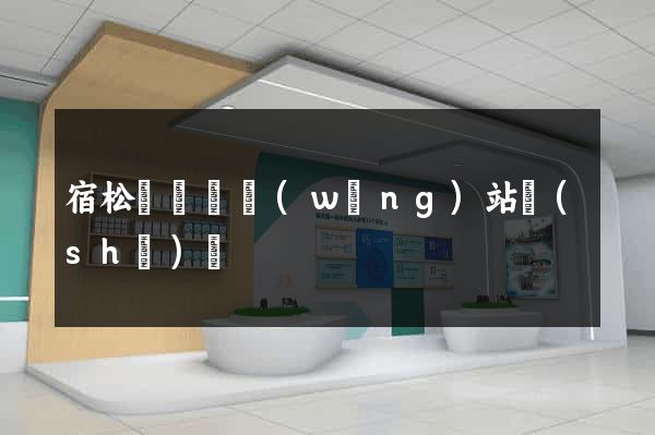 宿松縣營銷網(wǎng)站設(shè)計