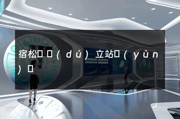 宿松縣獨(dú)立站運(yùn)營