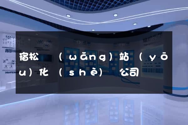 宿松縣網(wǎng)站優(yōu)化設(shè)計公司