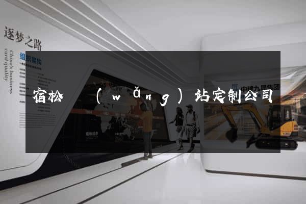 宿松縣網(wǎng)站定制公司