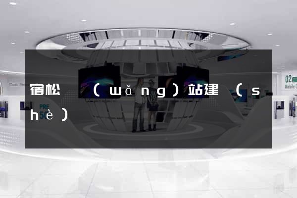 宿松縣網(wǎng)站建設(shè)