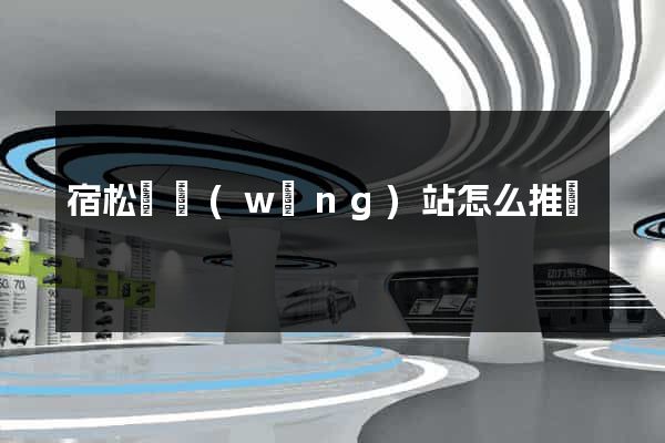 宿松縣網(wǎng)站怎么推廣