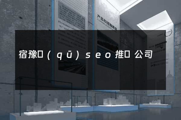 宿豫區(qū)seo推廣公司