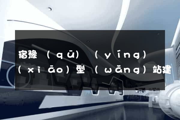 宿豫區(qū)營(yíng)銷(xiāo)型網(wǎng)站建設(shè)