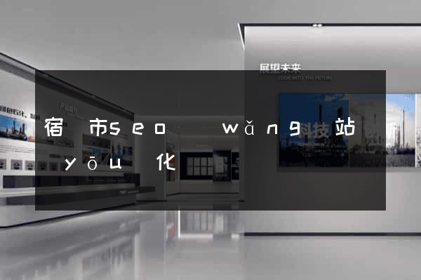 宿遷市seo網(wǎng)站優(yōu)化