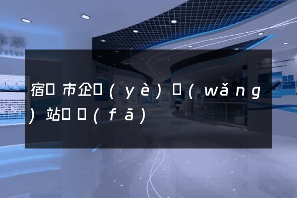 宿遷市企業(yè)網(wǎng)站開發(fā)