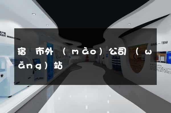 宿遷市外貿(mào)公司網(wǎng)站