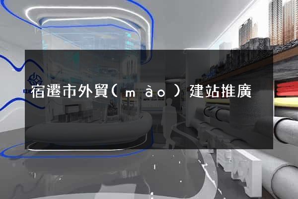 宿遷市外貿(mào)建站推廣