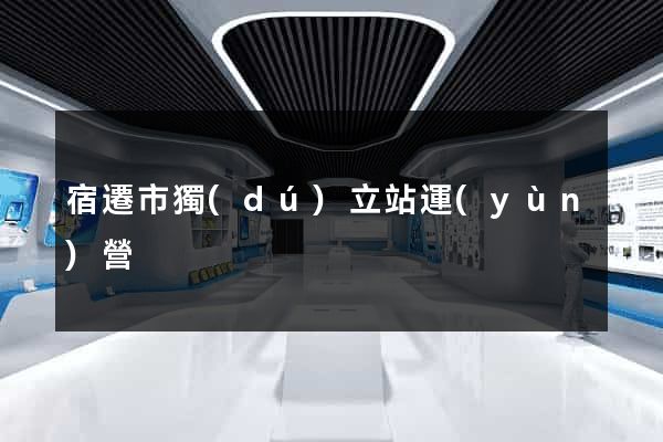 宿遷市獨(dú)立站運(yùn)營
