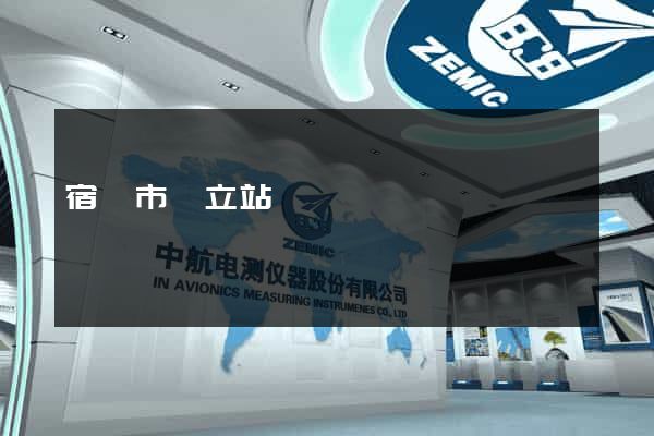 宿遷市獨立站運營