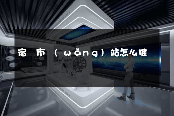 宿遷市網(wǎng)站怎么推廣