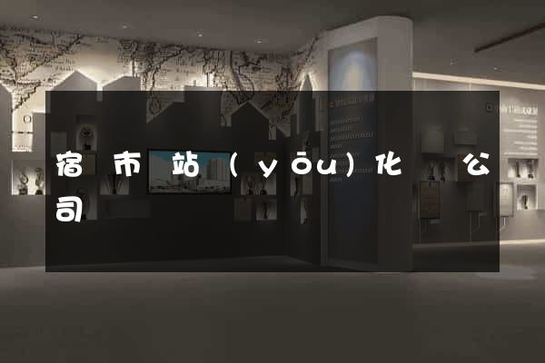 宿遷市網站優(yōu)化設計公司