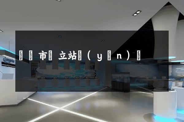 寧國市獨立站運(yùn)營