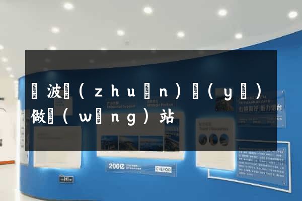 寧波專(zhuān)業(yè)做網(wǎng)站