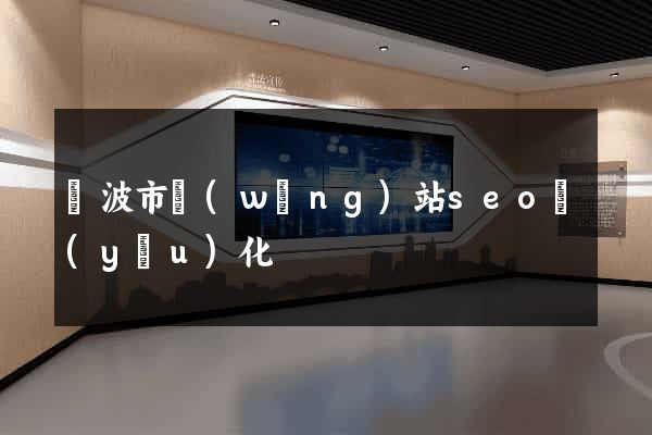 寧波市網(wǎng)站seo優(yōu)化