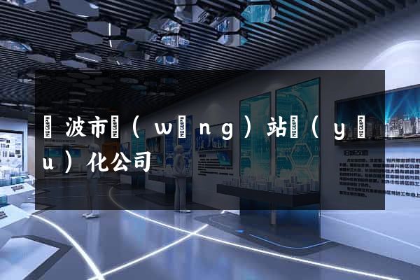 寧波市網(wǎng)站優(yōu)化公司