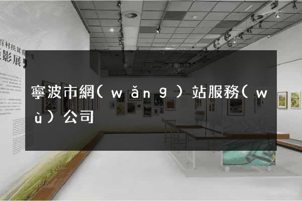 寧波市網(wǎng)站服務(wù)公司