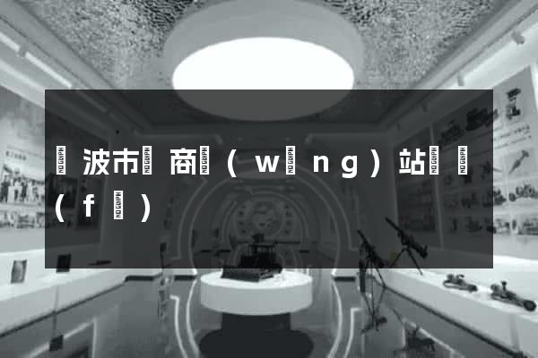 寧波市電商網(wǎng)站開發(fā)