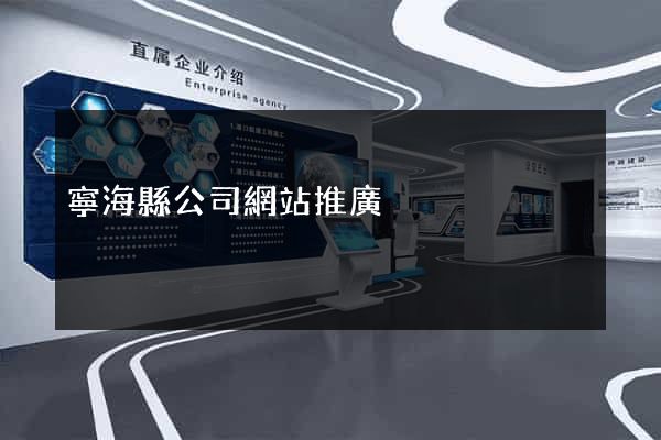 寧?？h公司網站推廣