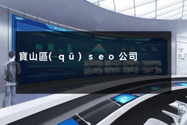 寶山區(qū)seo公司