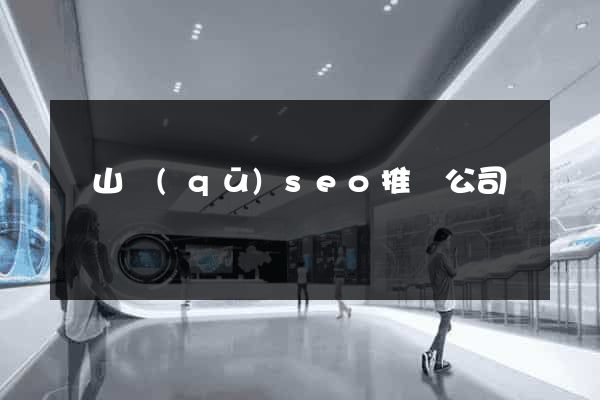 寶山區(qū)seo推廣公司