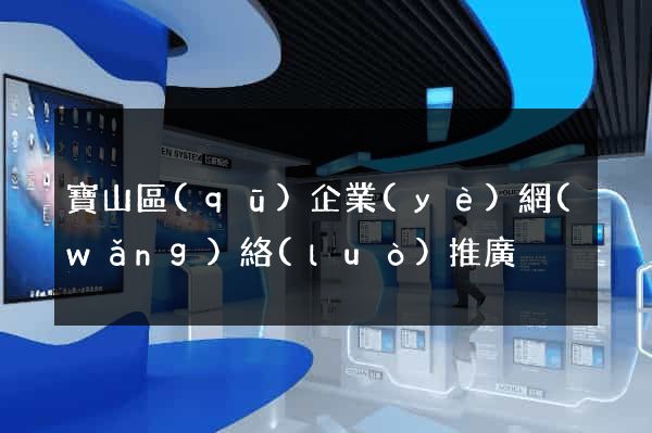 寶山區(qū)企業(yè)網(wǎng)絡(luò)推廣