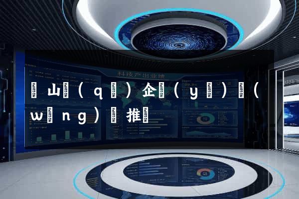 寶山區(qū)企業(yè)網(wǎng)絡推廣
