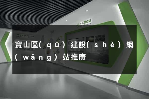 寶山區(qū)建設(shè)網(wǎng)站推廣
