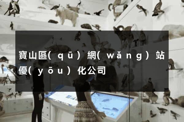 寶山區(qū)網(wǎng)站優(yōu)化公司