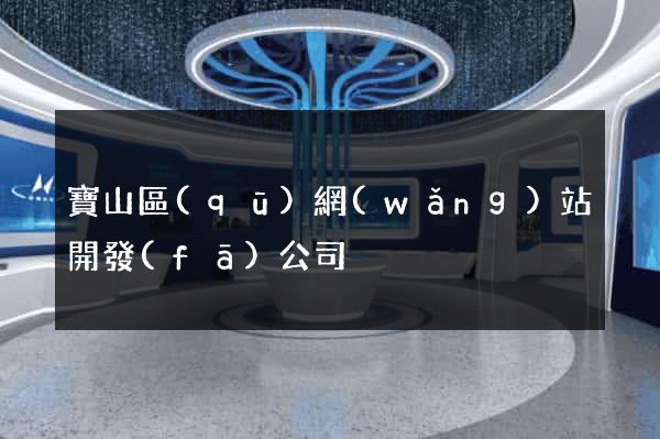 寶山區(qū)網(wǎng)站開發(fā)公司