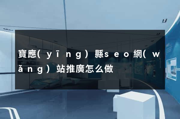 寶應(yīng)縣seo網(wǎng)站推廣怎么做
