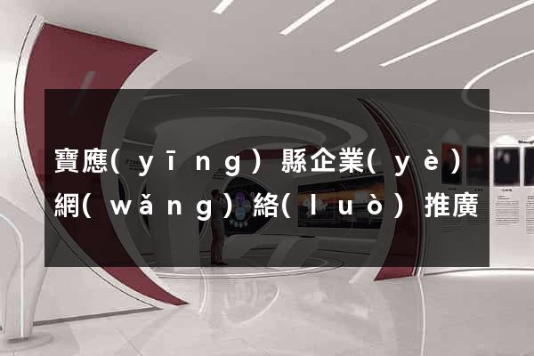 寶應(yīng)縣企業(yè)網(wǎng)絡(luò)推廣