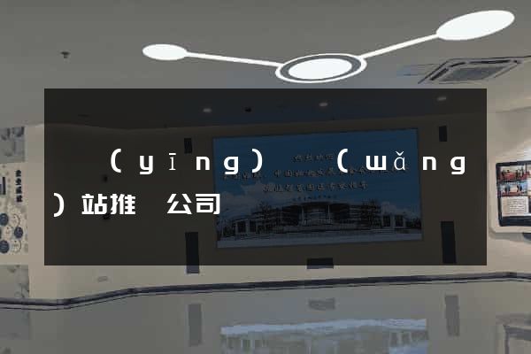 寶應(yīng)縣網(wǎng)站推廣公司
