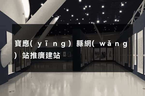 寶應(yīng)縣網(wǎng)站推廣建站