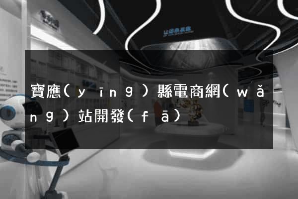 寶應(yīng)縣電商網(wǎng)站開發(fā)