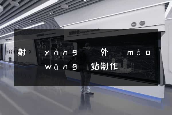 射陽(yáng)縣外貿(mào)網(wǎng)站制作
