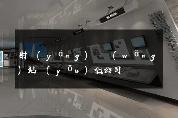 射陽(yáng)縣網(wǎng)站優(yōu)化公司