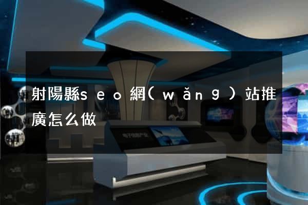 射陽縣seo網(wǎng)站推廣怎么做