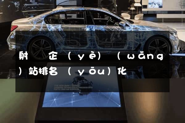 射陽縣企業(yè)網(wǎng)站排名優(yōu)化