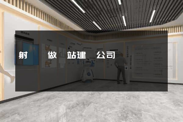 射陽縣做網站建設公司