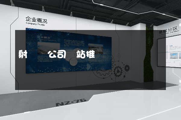 射陽縣公司網站推廣